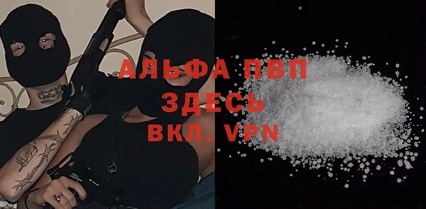 сатива Новокубанск