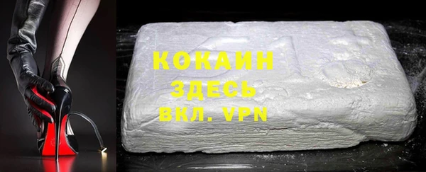 сатива Новокубанск