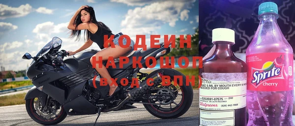 сатива Новокубанск