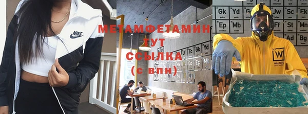 сатива Новокубанск