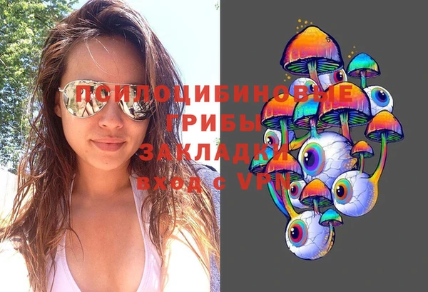герыч Новозыбков