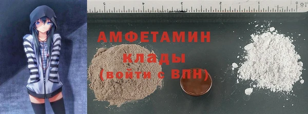 сатива Новокубанск