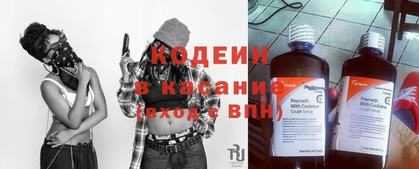 сатива Новокубанск