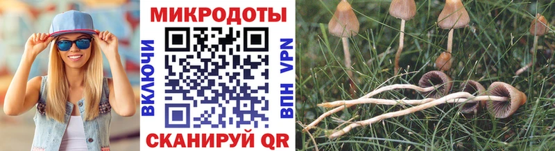 Галлюциногенные грибы MAGIC MUSHROOMS  Остров 